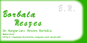 borbala meszes business card